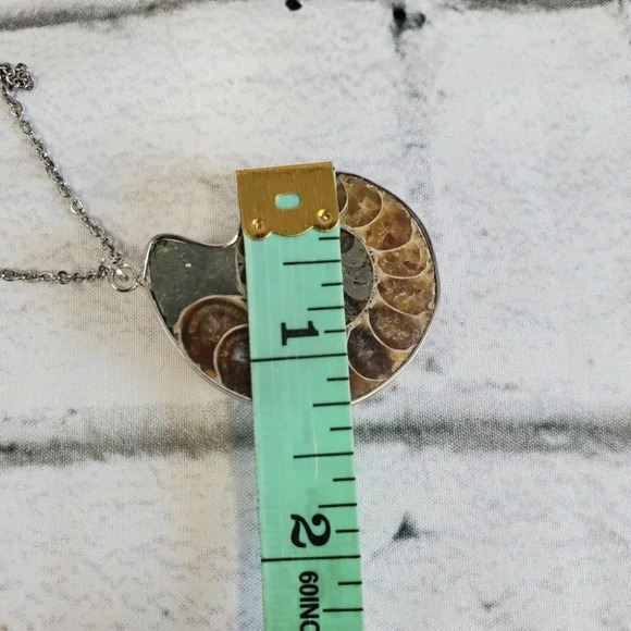 Ammonite Fossil Shell with Silver Plating - Picture 14 of 15
